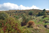 DSCF0651 — копия